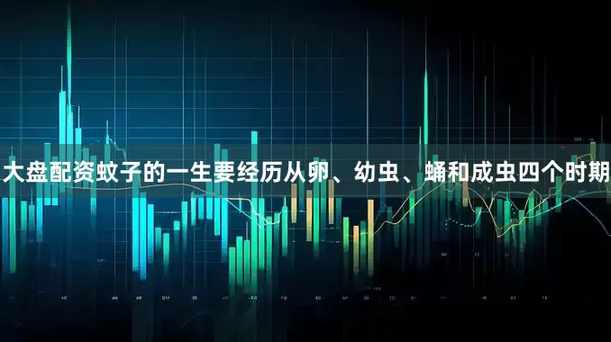 大盘配资蚊子的一生要经历从卵、幼虫、蛹和成虫四个时期