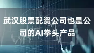 武汉股票配资公司也是公司的AI拳头产品