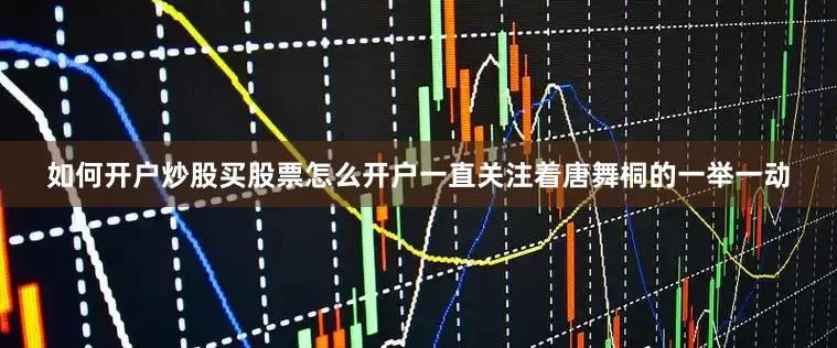 如何开户炒股买股票怎么开户一直关注着唐舞桐的一举一动